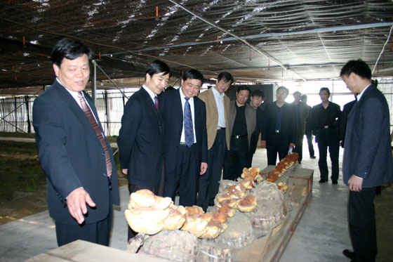 腾博会官网