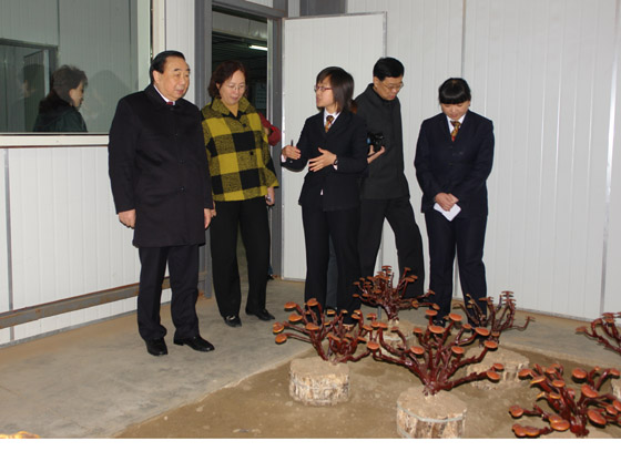 腾博会官网
